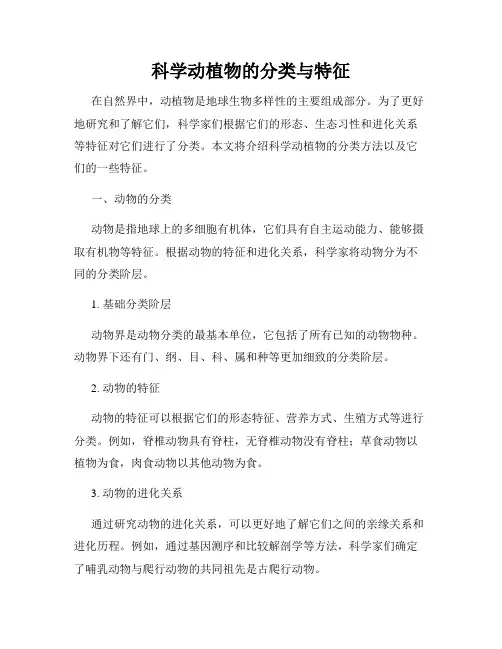 科学动植物的分类与特征
