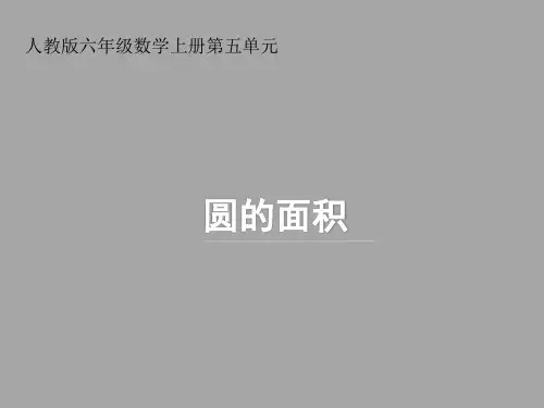 人教版六年级数学上册第五单元 《圆的面积》