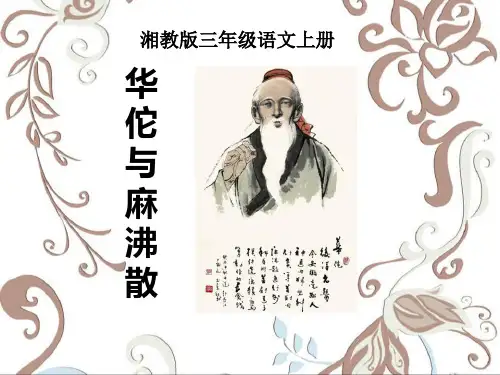 《华佗与麻沸散》PPT课件2