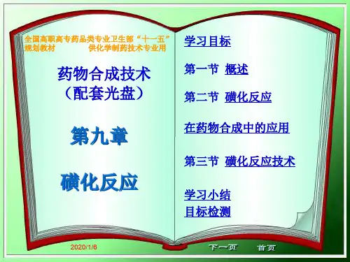 第九章_磺化反应