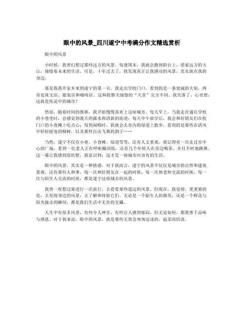 眼中的风景_四川遂宁中考满分作文精选赏析