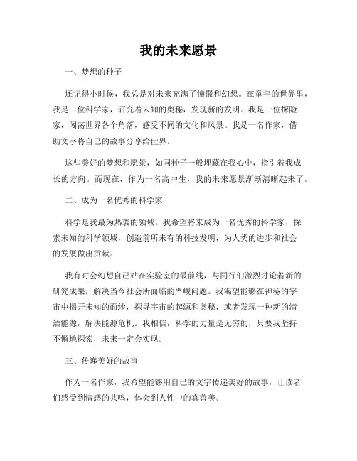 我的未来愿景