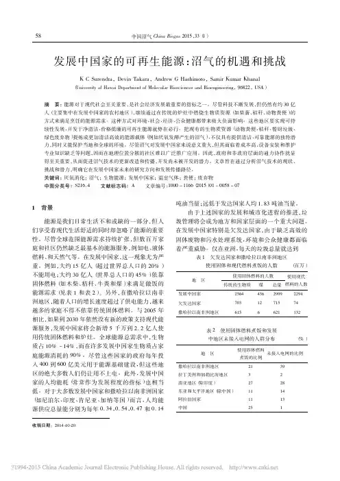 发展中国家的可再生能源_沼气的机遇和挑战