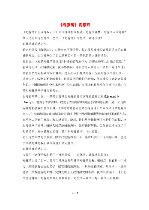 《海豚湾》观察后