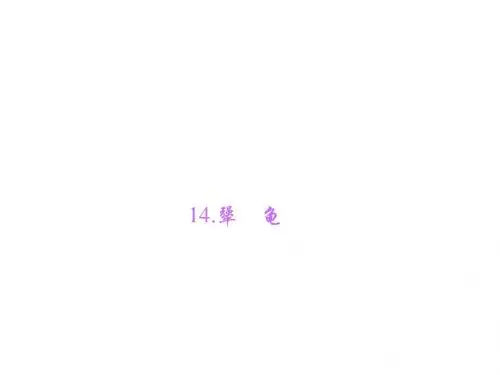 语文版七年级语文上册课件：14.犟 龟