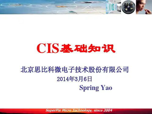 CIS 基础知识ppt课件