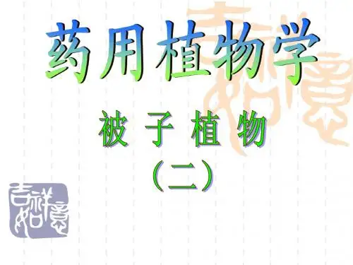 被子植物分类二