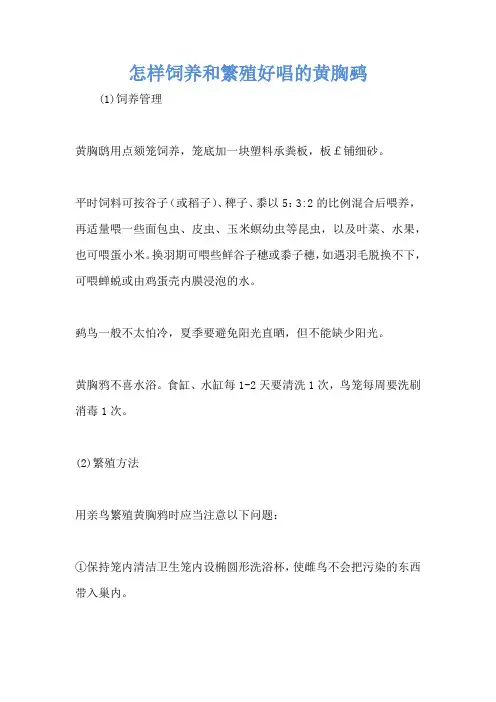 怎样饲养和繁殖好唱的黄胸鹀