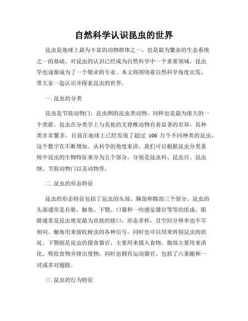 自然科学认识昆虫的世界
