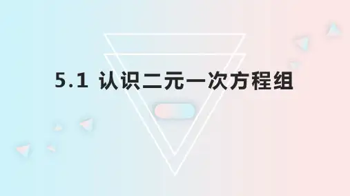 认识二元一次方程组ppt课件