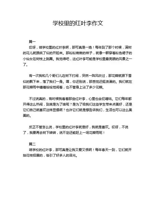 学校里的红叶李作文