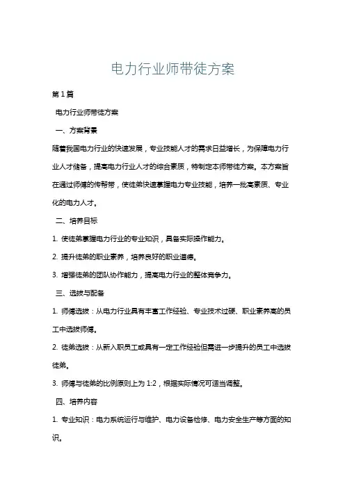 电力行业师带徒方案