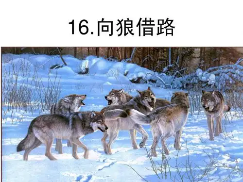 教科版 向狼借路