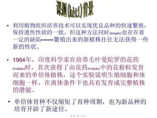 32月季花药培养(精品PPT)