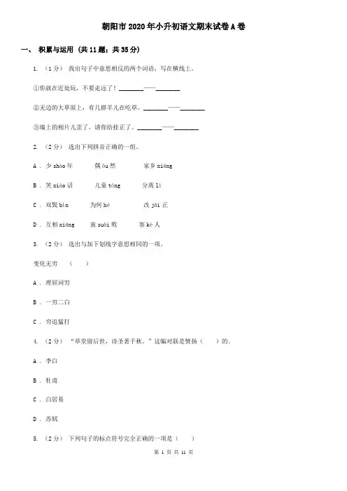 朝阳市2020年小升初语文期末试卷A卷(精编)