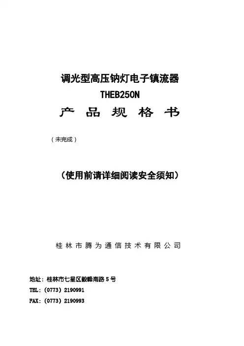 250W调光型高压钠灯电子镇流器
