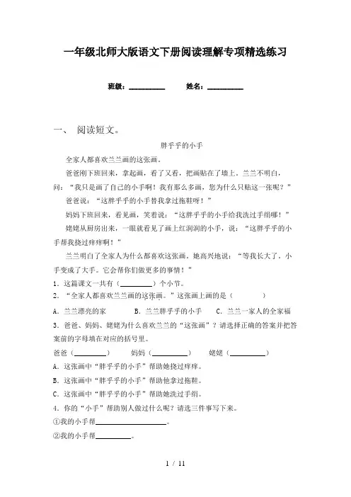 一年级北师大版语文下册阅读理解专项精选练习