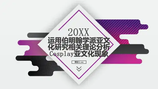 运用伯明翰学派亚文化研究相关理论分析亚文化现象