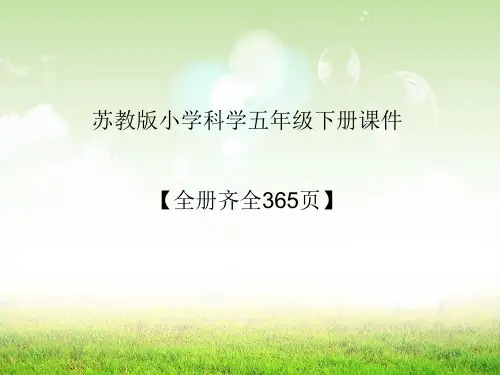 苏教版小学科学五年级下册课件【全册齐全365页】