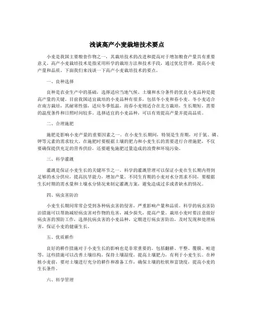 浅谈高产小麦栽培技术要点