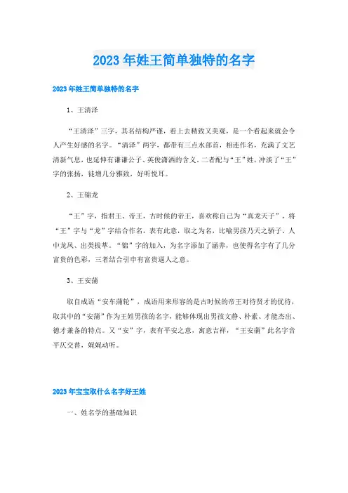 2023年姓王简单独特的名字