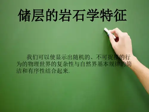 储层的岩石学特征