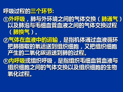 动物生理学呼吸生理ppt课件