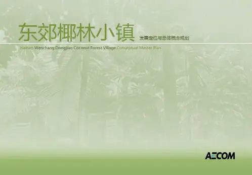 东郊椰林特色小镇发展定位与总体概念规划设计-AECOM