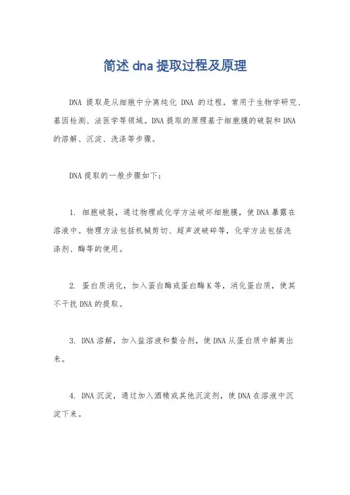 简述dna提取过程及原理