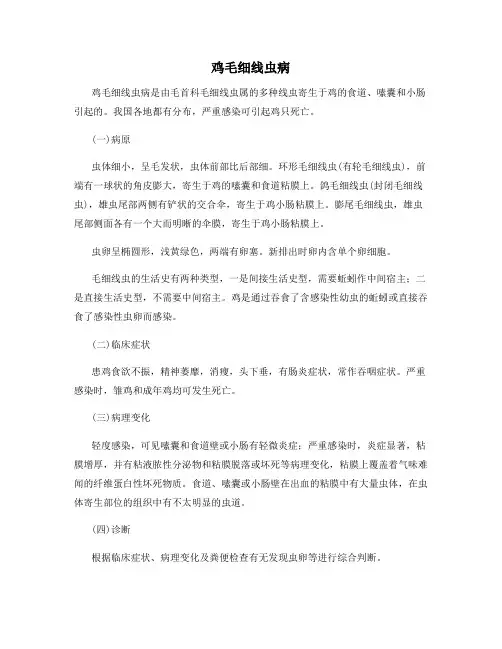 鸡毛细线虫病