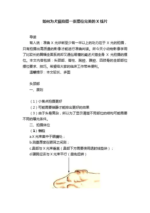 如何为犬猫拍摄一张摆位完美的X线片