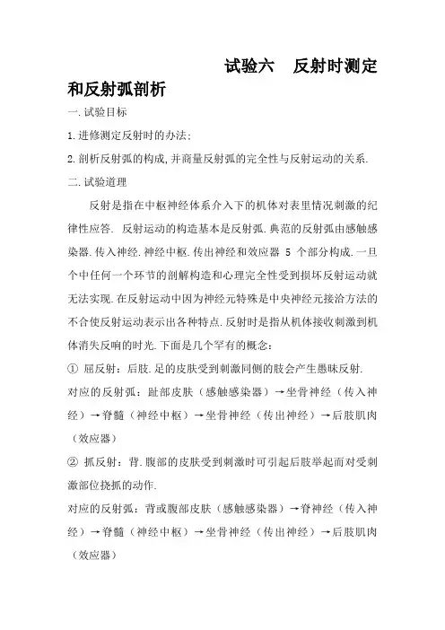 反射时测定和反射弧的分析