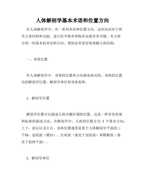 人体解剖学基本术语和位置方向