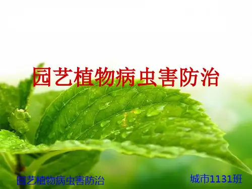 植物病原线虫及寄生性植物
