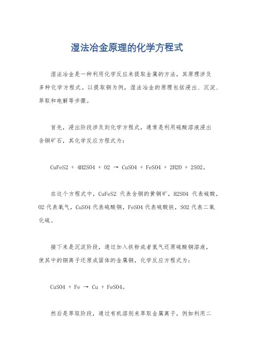湿法冶金原理的化学方程式