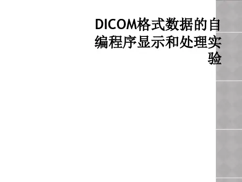 DICOM格式数据的自编程序显示和处理实验
