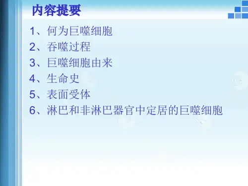 巨噬细胞