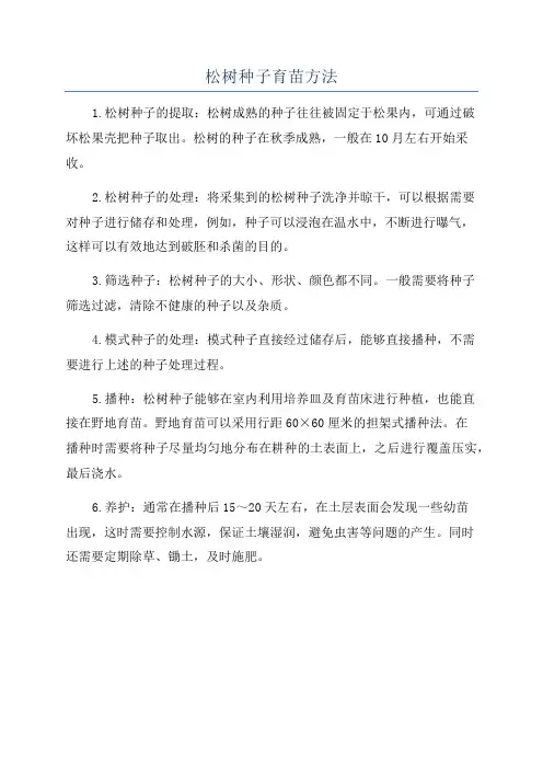 松树种子育苗方法