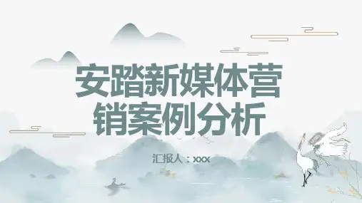 安踏新媒体营销案例分析