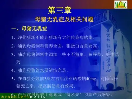 母猪无乳症及相关问题