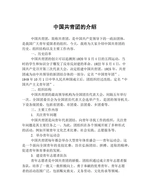 中国共青团的介绍