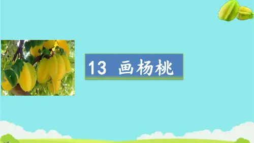 二年级语文下册13《画杨桃》课件(共28张PPT)