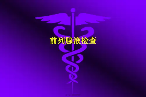 前列腺液检查PPT课件
