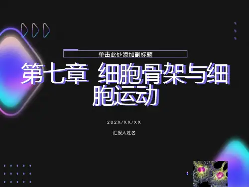 细胞生物学细胞骨架与细胞运动