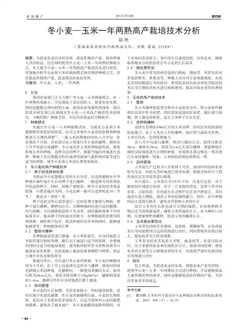 冬小麦—玉米一年两熟高产栽培技术分析