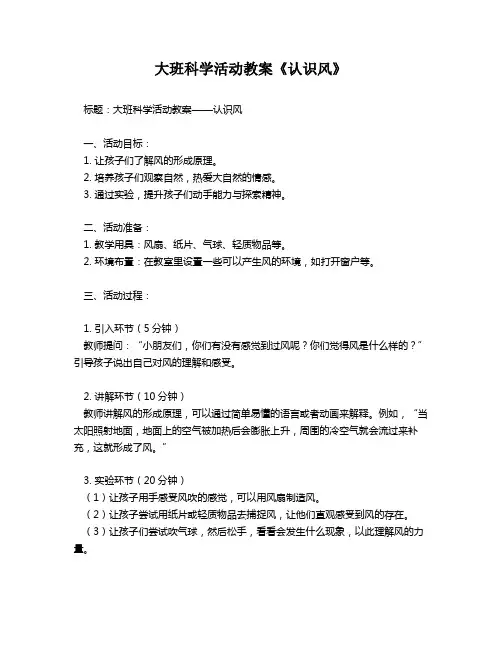 大班科学活动教案《认识风》