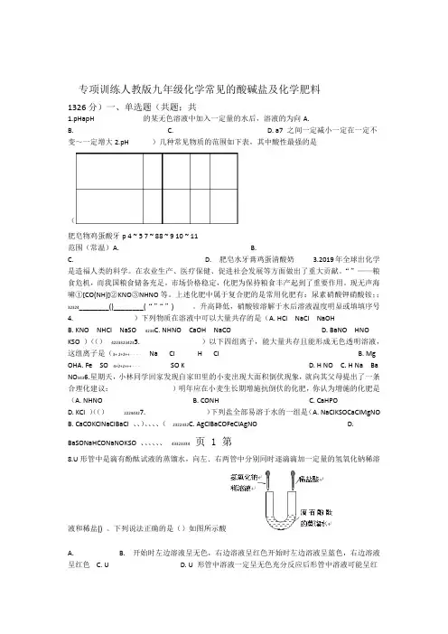 人教版九年级化学 常见的酸碱盐及化学肥料 专项训练 精选教育文档