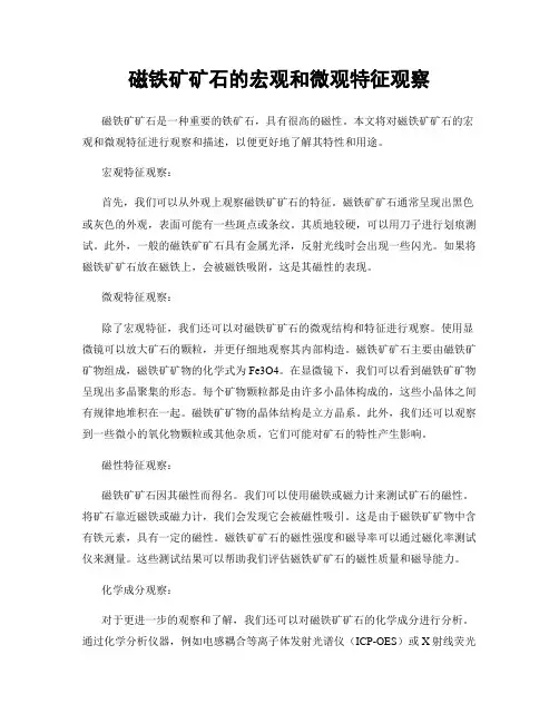 磁铁矿矿石的宏观和微观特征观察
