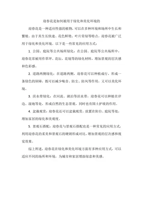 迎春花是如何被用于绿化和美化环境的