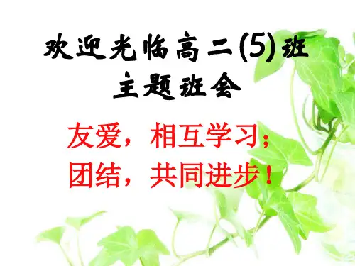 ：友爱,互相学习;团结,共同进步ppt   主题班会 获奖课件PPT